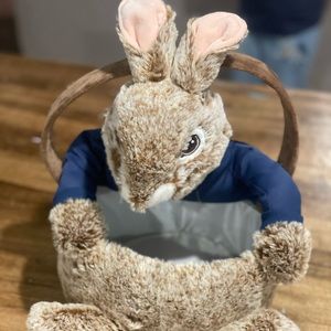 Peter rabbit Easter basket
